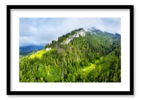 Beautiful aerial top view of green forest in rocky mountain