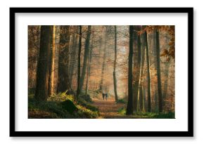 Two people taking a walk on a sunny autumn day in the woodlands. Beautiful forest scenery with a dirt road under tall trees