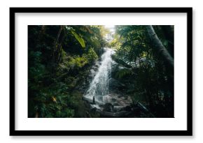 Dark green waterfall in the rainforest