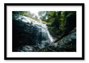 Dark green waterfall in the rainforest