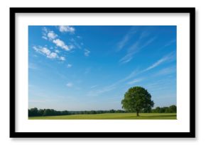 Morning Horizon with Bright Skies