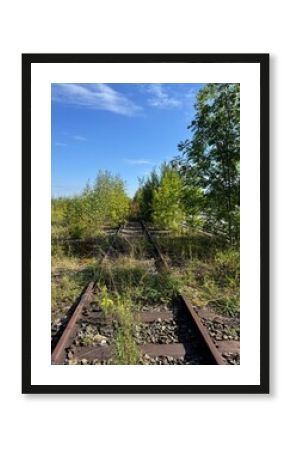 The overgrown railway tracks lie under a blue sky, inviting exploration and adventure
