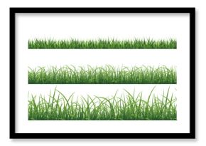 Green Grass Borders Set Isolated White Background