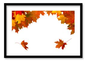 A cluster of vibrant red, orange, and yellow autumn leaves isolated on a transparent PNG background