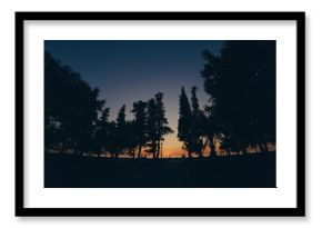 Sunset silhouette of tall trees against a colorful evening sky with deep blue and orange hues creating a peaceful outdoor scene.
