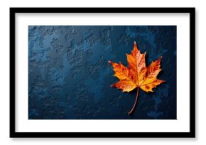 Autumn maple leaf on textured dark blue background