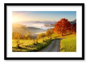 Herbstlandschaft morgens im Nebel 
