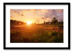 Golden sunset panorama over a lush green meadow filled with vibrant pink flower blooms and a distant tree line for a serene nature background.
