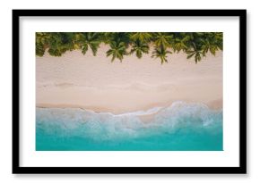 Drone view of a tropical coastline featuring white sandy shores, clear turquoise waters, and palm trees.