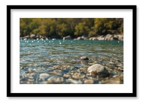 Stream with clear water and scattered stones
