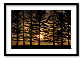 Silhouetted trees against vibrant sunset create stunning contrast, showcasing nature beauty. warm hues of orange and yellow blend seamlessly with dark outlines of trees, evoking sense