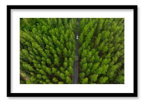 Aerial view of dark green forest road and white electric car Natural landscape and elevated roads Adventure travel and transportation and environmental protection concept 