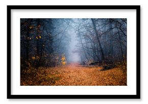 Mysterious pathway. Footpath in the dark, foggy, autumnal, misty forest with high trees. Arch through an autumn forest with yellow leaves.