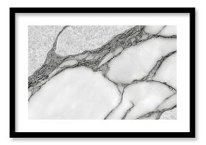 Elegant Luxury Calacatta Marble Texture with Stunning White and Gray Veins for Interior Design
