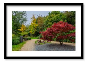 Wonderful autumn views of Amstelpark. Amstelpark located between Amstel and Europaboulevard. Amstelpark is one of two most popular parks in Amsterdam. Amsterdam, the Netherlands.