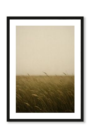 Serene grass field wallpaper for mobile