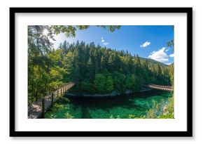 Sunny summer day at a scenic suspension bridge surrounded by lush greenery