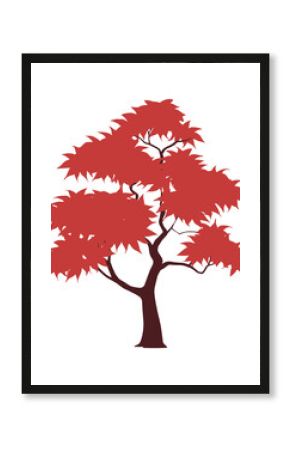 Japanese maple tree illustration leaves leaf vector