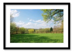Springtime lawn restoration