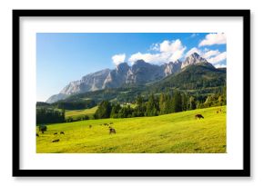 Captivating view of Alpine green fields and traditional wooden houses near Werfen am Tennengebirge with cow