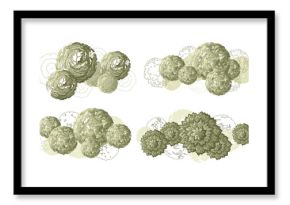 Top view trees for architectural plans and landscape design. Minimal vector illustration for urban planning, site plans, and architectural entourage.