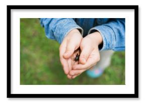 Child with light skin holding insect gently in cupped hands outdoors, showing curiosity and care for small creature, wearing casual clothing, standing on grass