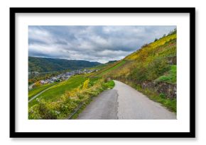 Autumn Vineyards at the Moselle river region in autumn season. Germany