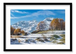 view on snowy mountain range in tarentaise valley under blue sky and golden larch trees in forest