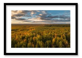 Aerial View of Autumn Forest, Green and Yellow Foliage in Seasonal Change