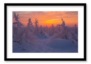 Winter sunset landscape with frozen trees, seasonal change
