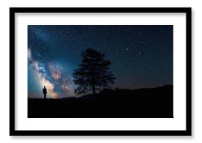 Silhouetted trees beneath the Milky Way starry sky, emphasizing natural night preservation awareness