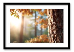 Warm golden sunlight filters through a tranquil autumn forest highlighting vibrant fall foliage and the rough textured bark of a tree in the foreground creating a peaceful natural scene
