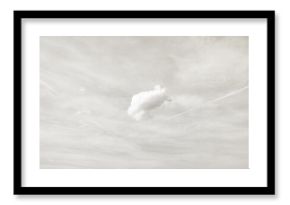 Light grey cloud background, trendy color of year 2026, cloud dancer