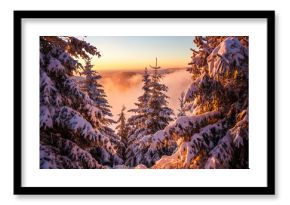 Winter in mountain forest during sunset. Golden hour in dreamlike landscape with snow covered spruce trees and mist in valley. Natural background