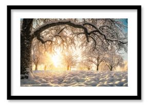 Winter rural wonderland landscape with golden sunlight, blue sky and beautiful snow-covered trees on a field