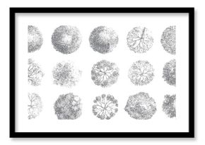 Fifteen grey abstract textured circular shapes resembling tree canopies viewed from above in a grid layout