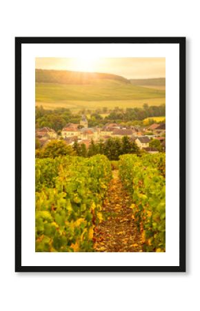 Sunny vineyards and village in the Champagne region