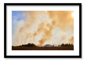 Meadow filled with smoke fire burning across dry stubble and grassland flames creating an environmental disaster that damages natural environment