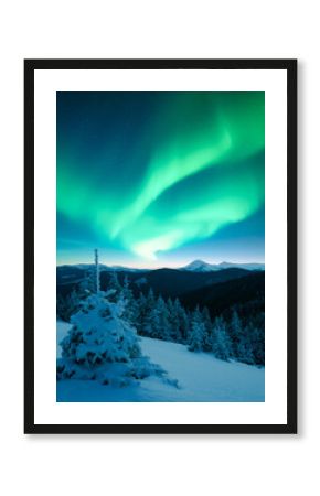 Fairy winter mountains with snowy fir-trees and incredible Northern lights in starry sky. Christmas nightscape with Polar lights. Aurora Borealis