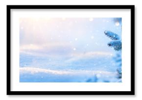 Winter scene. Snow-covered fir branches in sunlight. Fir branches with glitter and snowflakes