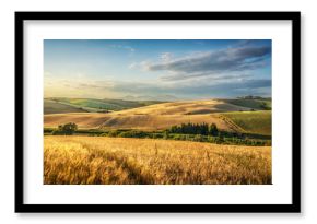 Countryside panorama in Tuscany, rolling hills and wheat fields at sunset. Santa Luce.