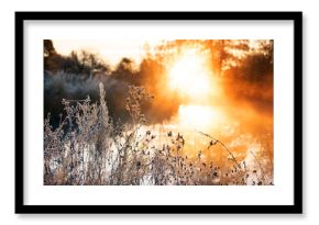 Frosty autumn morning on the river. first frosts and hoarfrost on the bank and warm sunlight. Rays of sun through trees early in the morning in the fog