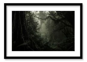Sunlight streaming through the dense foliage of a tropical rainforest