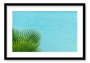 Washingtonia robusta, also known as the Mexican fan palm or skyduster leaves against blue ocean water