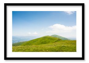 carpathian mountain landscape of ukraine in summer. panoramic highland. wonderful nature scenery of alpine grassy meadow and green hills on a sunny day under blue sky. popular travel destination