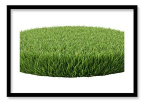 PNG Grass field podium grass isolated lawn.