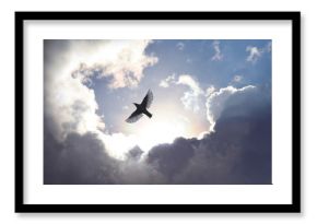 Angel Bird in Heaven