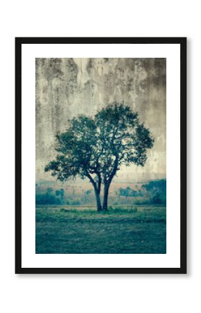 A single tree represent loneliness and sadness