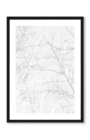 Branches texture pattern. Soft background.