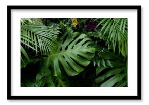 Green tropical leaves Monstera, palm, fern and ornamental plants backdrop background